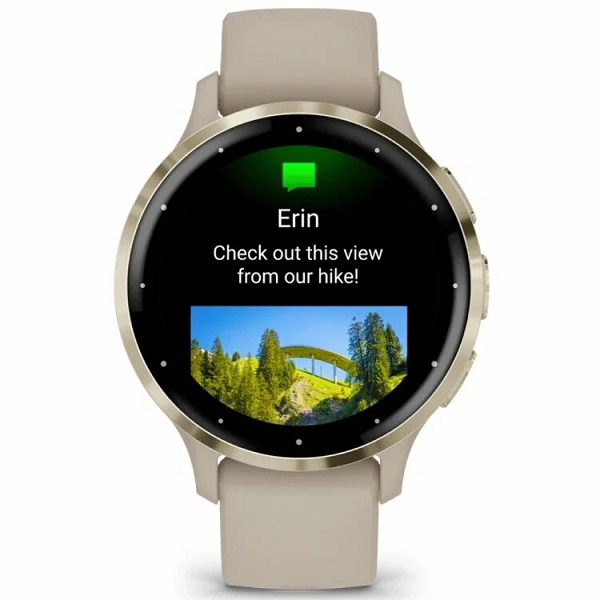 GARMIN VENU 3S Soft gold stainless steel bezel with French grey case and silicone band 010-02785-52 010-02785-52 от прозводителя Garmin