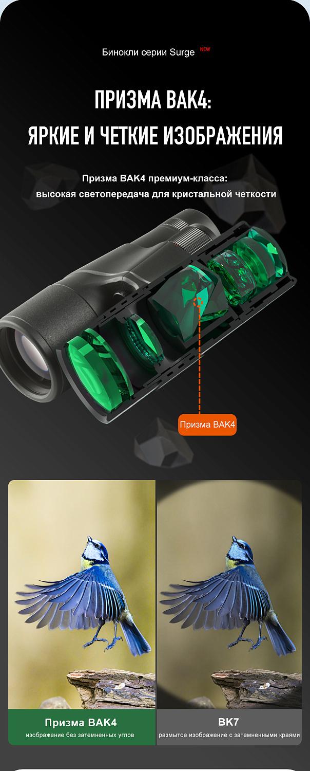 Бинокль Eyeskey Surge - 10x42