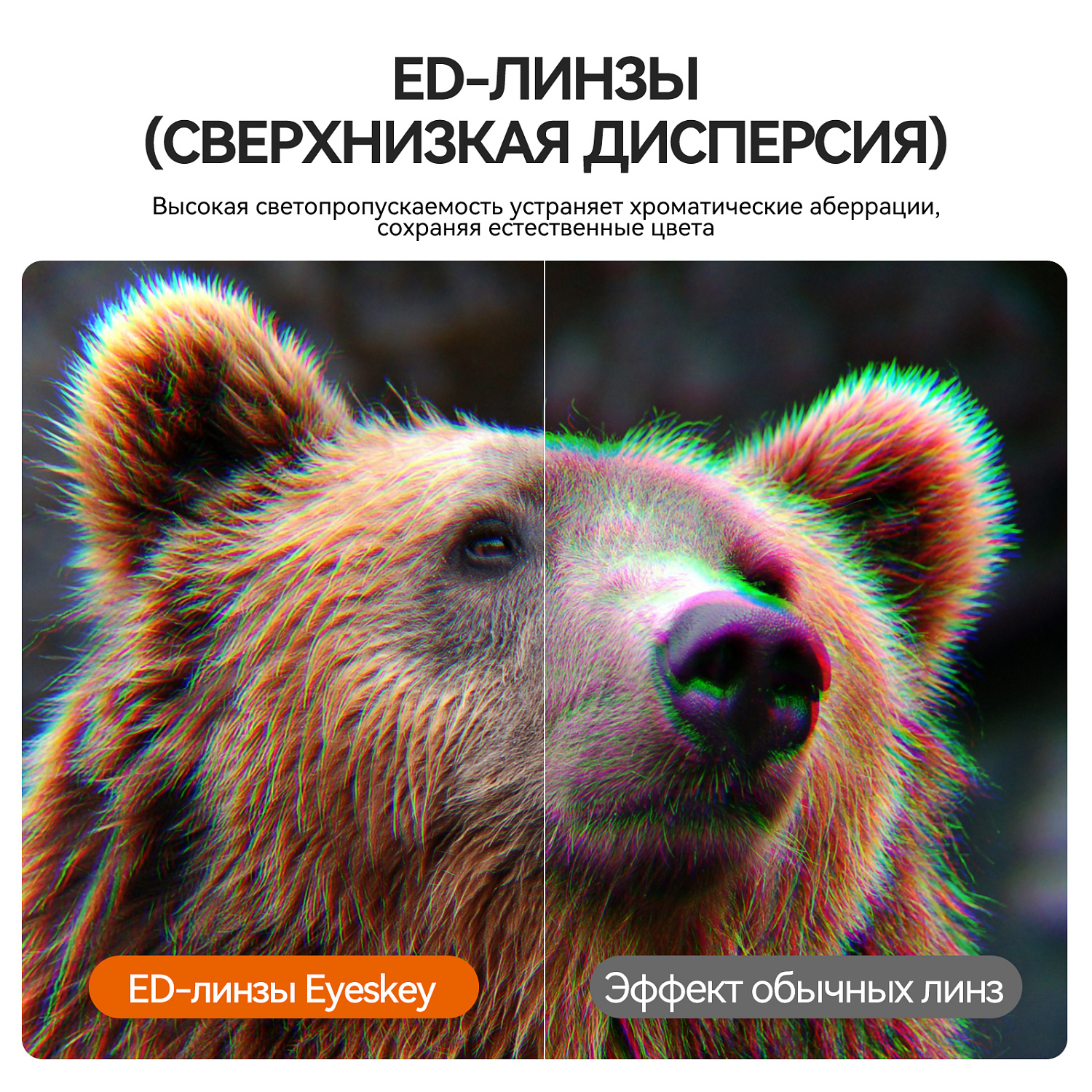Бинокль Eyeskey Vigil - 12x50