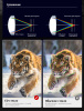 Бинокль Eyeskey Sport ED-12x50 EyeS-B107 от прозводителя Eyeskey