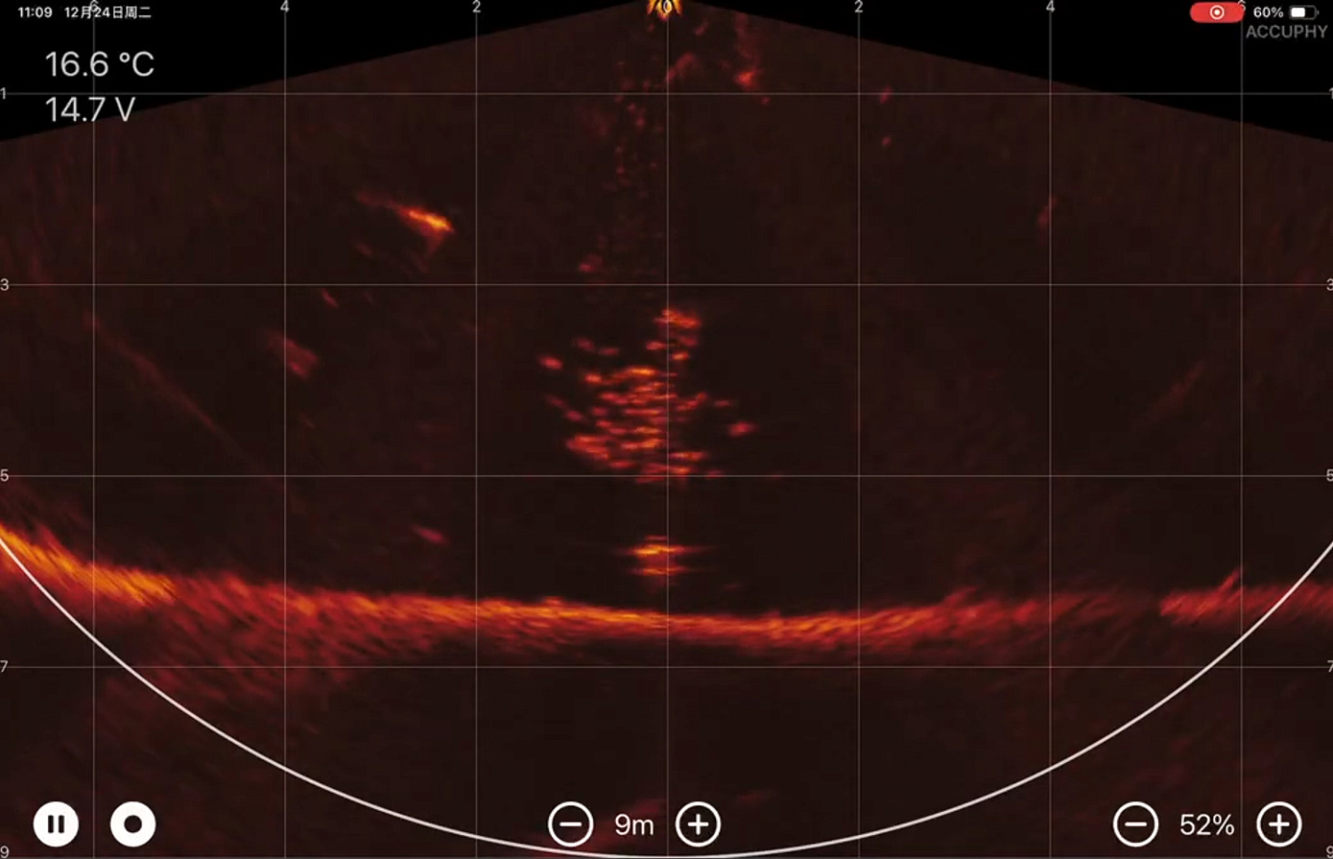 Accuphy PingLive Sonar