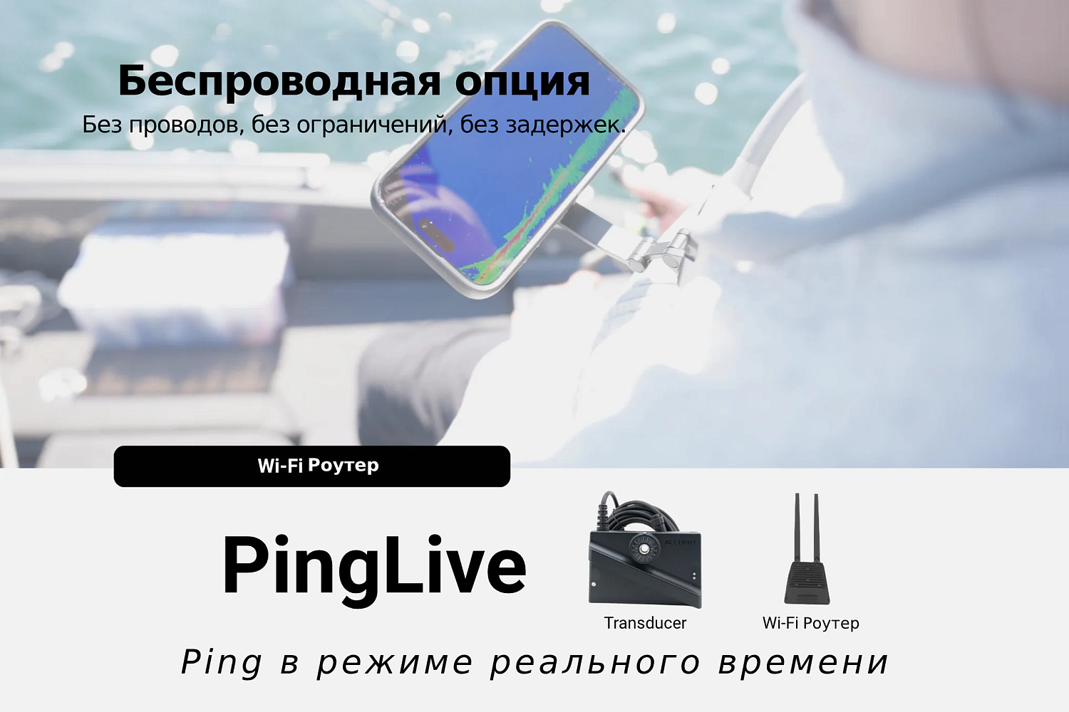 Accuphy PingLive Sonar