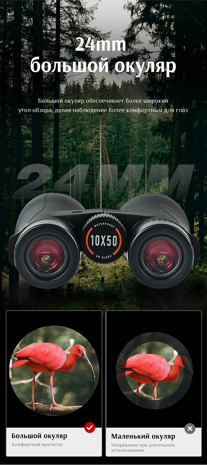 Бинокль Eyeskey Wave ED-12x50